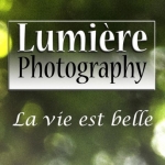 Lumiere Photography - wedding photographers