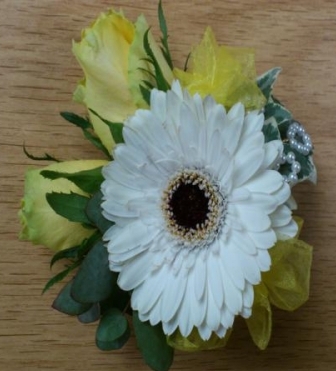 Dsc 0205 600x450