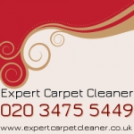 Expertcarpetcleaner250 Expertcarpetcleaner250