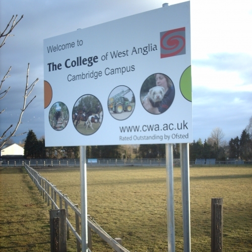 Site Hoarding