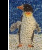 Penguin 01
