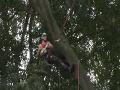 http://www.touchlocal.com/business/list/bid/7022902
Tree surgery company, Jenks Oxford Ltd is an Arboricultural Association Approved Contractor. We provide a comprehensive range of tree surgery services with our fully employed, trained and certificat