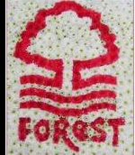 Football Badge Nottingham Forest 01
