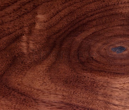 Multiply Lacquered Natural Grade Engineered Walnut Flooring - 191mm