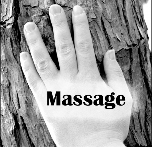 Massage therapist