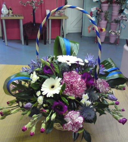 Dsc03551 450x600