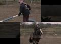 http   www touchlocal com business list bid 4382325 Since 1988  Chessington Equestrian Centre has been providing riding lessons to people from all over Surrey and Greater London