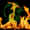 Flame Logo