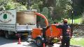 Tree Surgeons in the Hampshire area. Terry Foster started Fosters Tree Surgeons in 1996. find  more out at www.touchlocal.com/3558963