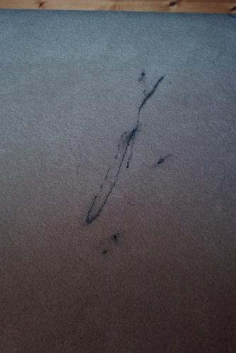 ink stain carpet damage