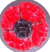 Poppy 01