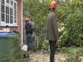 Team Greens Tree Services Ltd offers a professional tree surgery service find more out at http://www.touchlocal.com/6033138