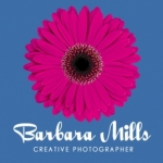 Barbara Mills Creative Photographer - wedding photographers