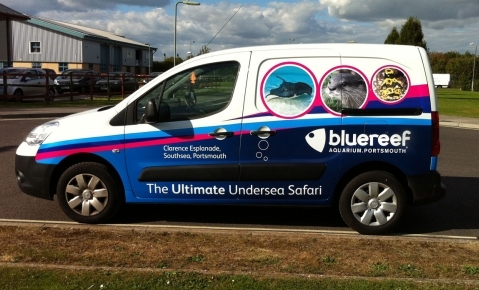 Blue Reef Van Graphics - Something Fishy !!