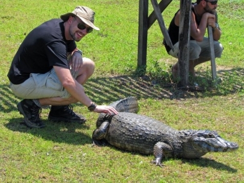 Stroking a caiman in the Pantanal, Brazil