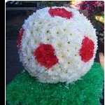 Football 01