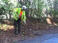 Chippings Tree Surgery