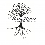 BareRoot Gardening & Landscaping