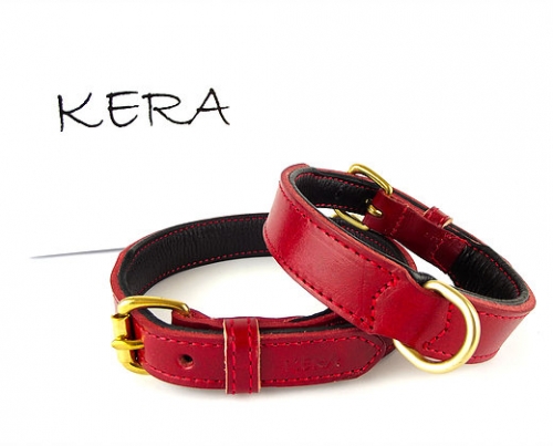 Luxury Red Leather Dog Collar