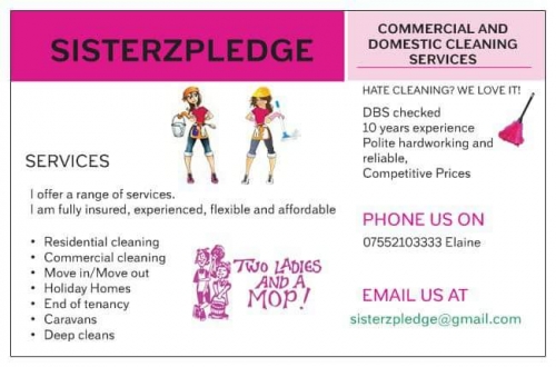 Sisterzpledge cleaners