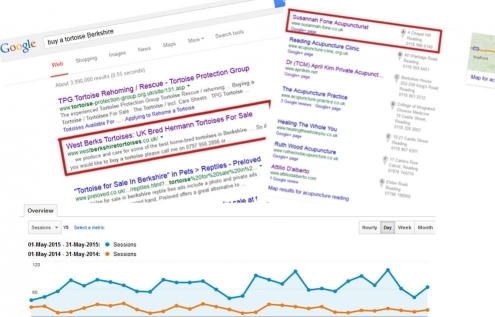 SEO leads to 1st Page Google Rankings and an increase in Audience
