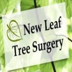 New Leaf Tree Surgery Ltd
