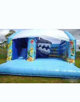 Shark slide combo bouncy castle from Kingdom of Bounce