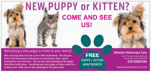 Free Puppy and Kitten Healthchecks