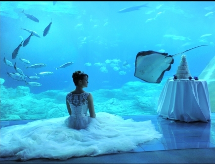 National Marine Aquarium Photo Shoot - Ian Worrell Focus Weddings