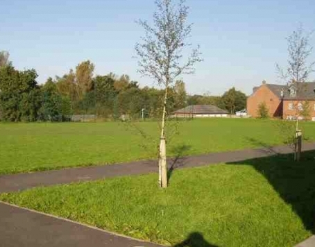 Playingfield At Adlington Location Fairview