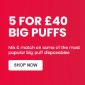 5 For £40 Disposable Vapes