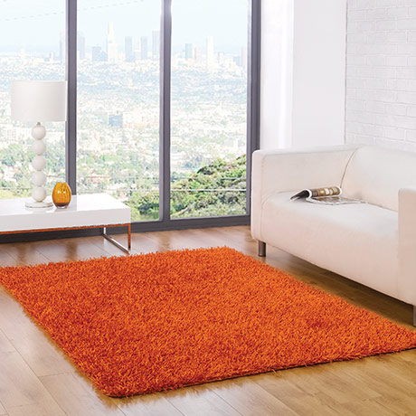 Rugs Sale Now On