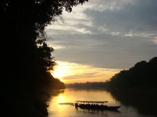 Peruvian Amazon - Puerto Maldonado