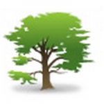 B & N Treecare Arborist Ltd