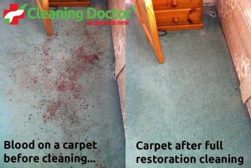 Blood Stained Carpet Before + After