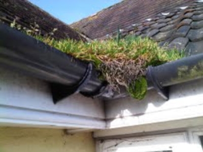 Full Gutters can cause damage to your exterior  & interior walls