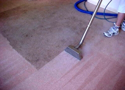 Carpet Cleaning Pic 1