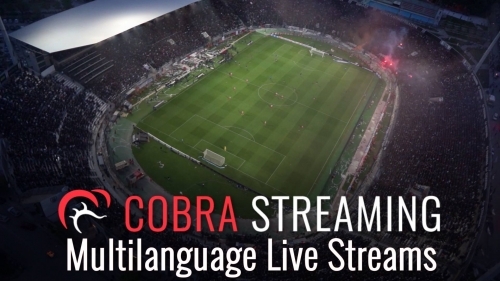 Cobra Multilanguage Livestream