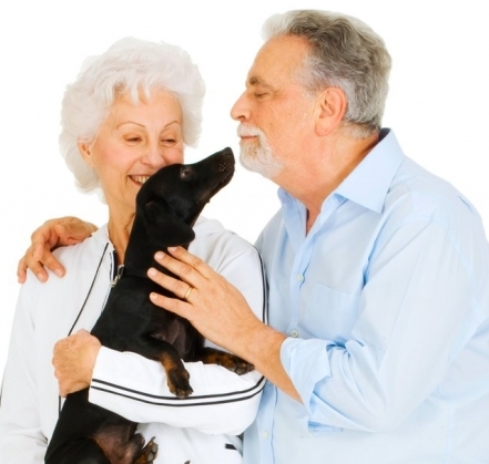 Live in pet sitters to care for your home and pet