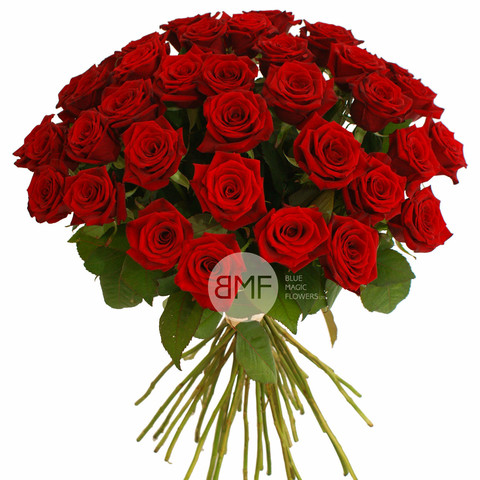 Luxury Red Roses 40
