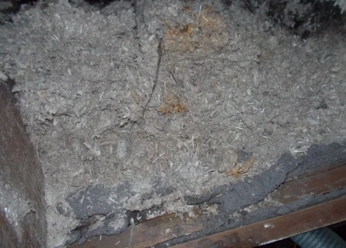 Loose amphibole asbestos insulation in a Neath loft space