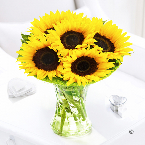Sunflower Sunburst Vase