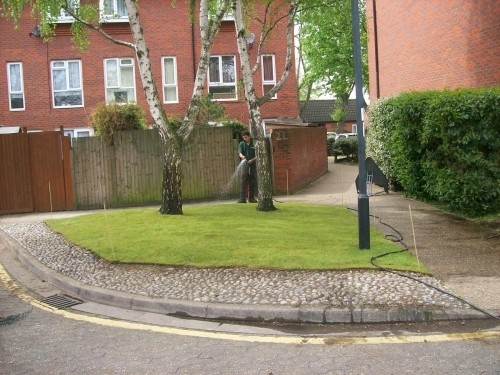 Area turfed for Hounslow Homes