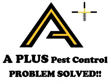 A Plus Logo With Words