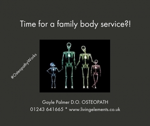 Time For A Family "MOT" Service with Gayle Palmer? https://living-elements-clinic.cliniko.com/bookings
