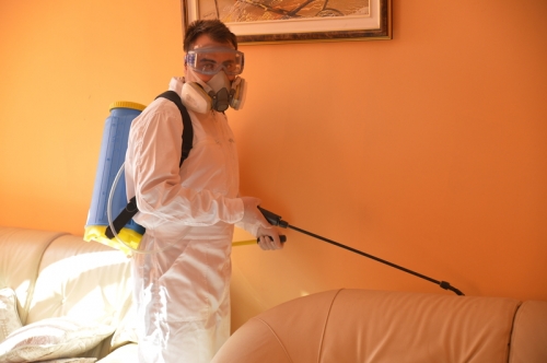 Bed Bugs control services