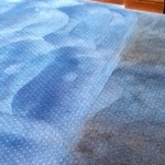 Restaurant carpet during cleaning