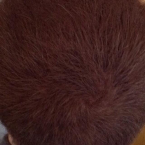 Dark Brown Hair Fibres 100g refill bags