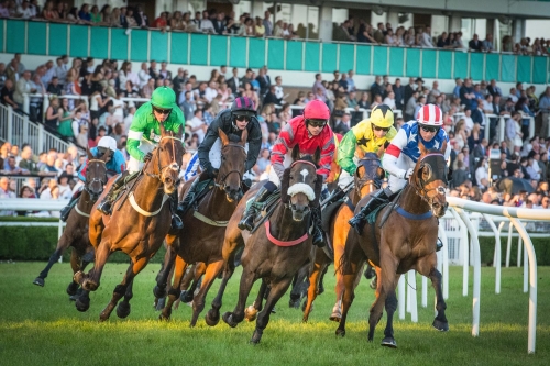 Uttoxeter and Worcester Racecourses