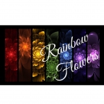 Rainbow Flowers Scotland Ltd